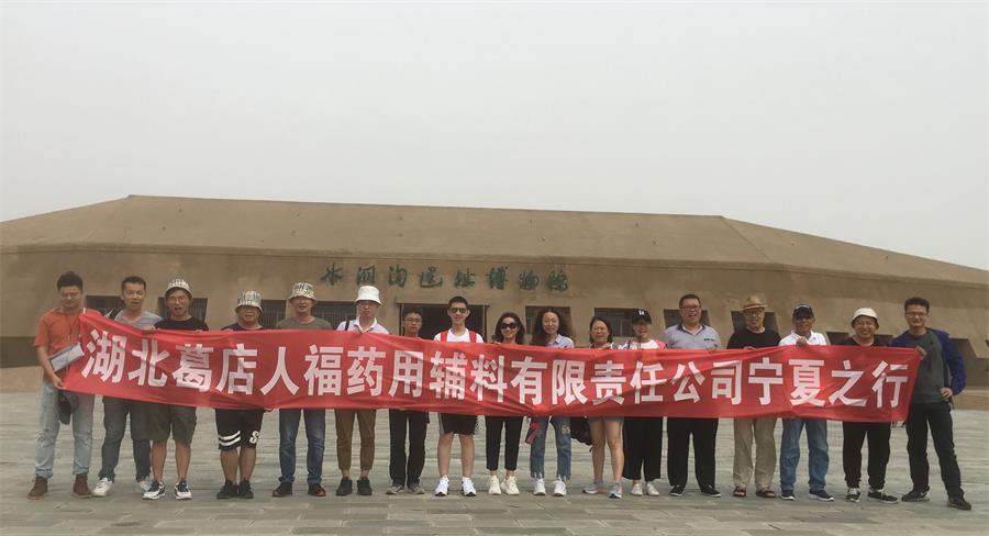 葛店人福藥輔2019年員工集體旅游活動圓滿結束