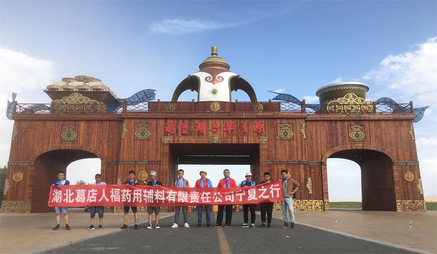 葛店人福藥輔2019年員工集體旅游活動圓滿結束